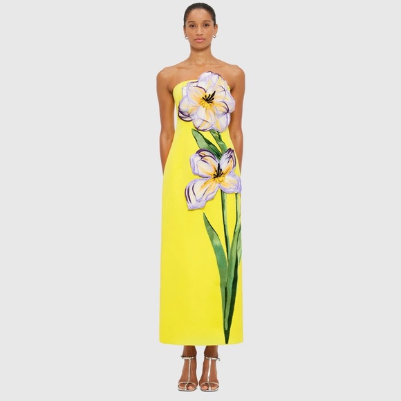 Leo Lin Dresses & Skirts - Leo Lin Rayna Appliqué Floral Maxi Dress – Iris Print in Yellow